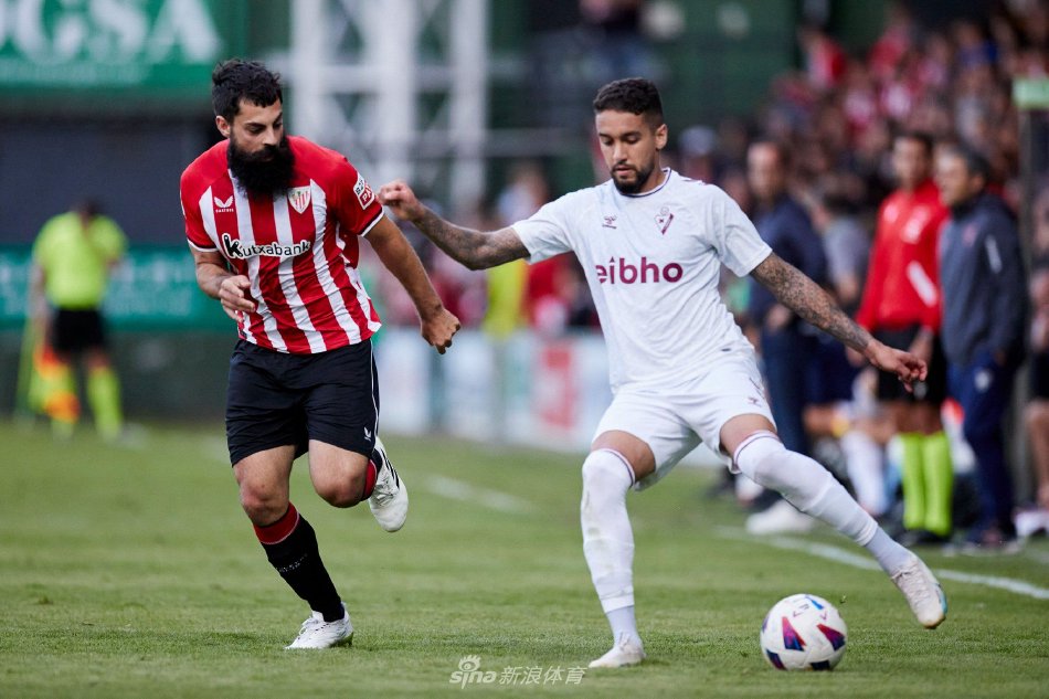 他简单总结 他简单总结