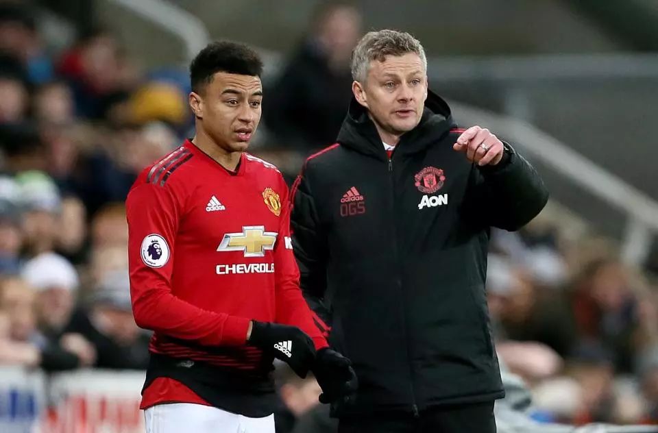 逐步掌握了 逐步掌握了